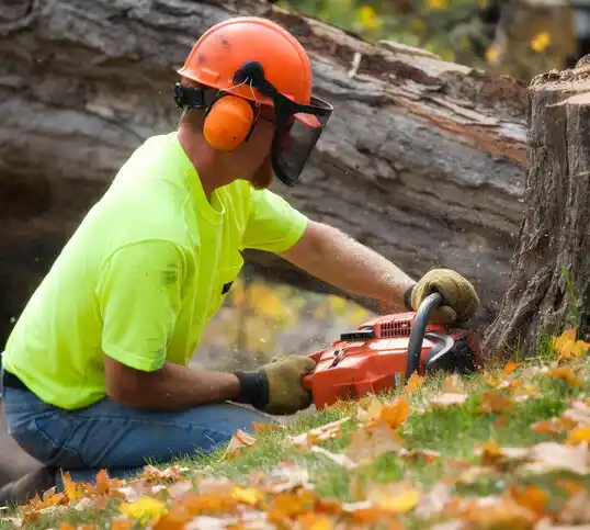 tree services Arbyrd